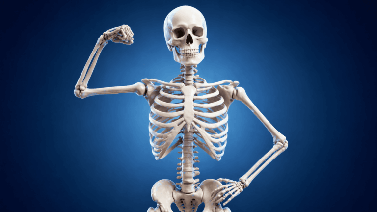 Santé osseuse au féminin : comprendre et prévenir l&rsquo;ostéoporose